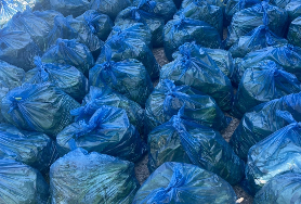  [노인맞춤돌봄서비스]제철채소(열무) 연계지원