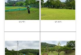  효령노인복지타운 잔디유지관리용역 중 잔디깍기 2회차 실시