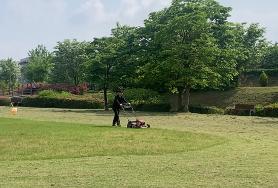  2024년 효령노인복지타운 잔디유지관리용역 1회차 실시