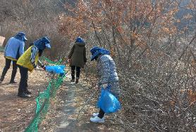  에코시니어사업단 타운주변 정화활동
