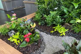  효령타운 로비 녹화시설 조성