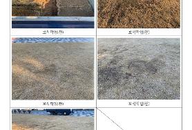  효령노인복지타운 잔디광장 잔디 보강 식재 작업 추진