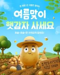  효령도시정원 첫 수확물 수미감자 판매