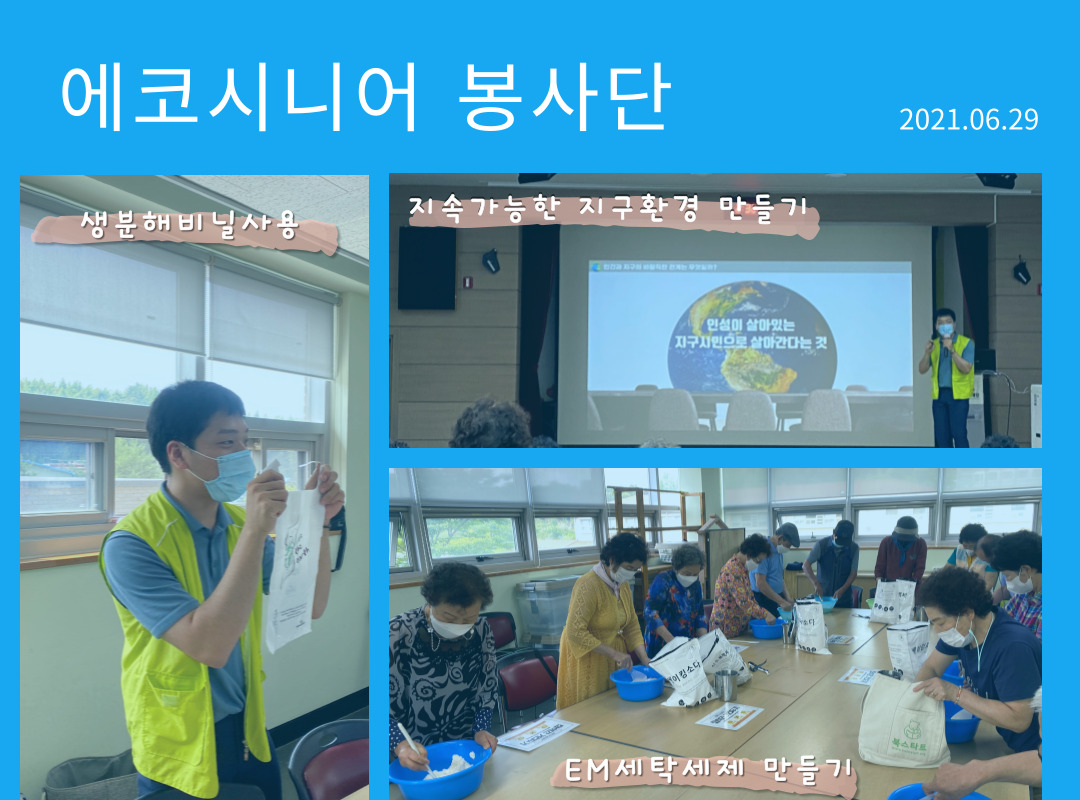  에코시니어 봉사단 