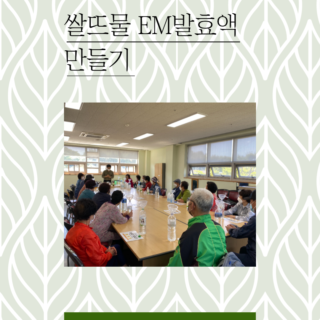  에코시니어 봉사단 환경보호 캠페인