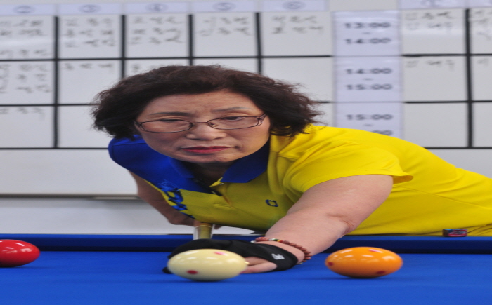  2017년 스포츠 대항전