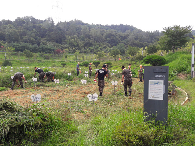  8월 8일 육군 31사단 503보병여단 봉사활동 참여