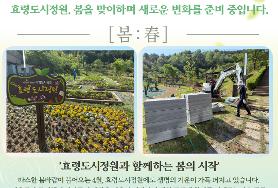  감자가 쑥쑥! 환경정비도 착착!