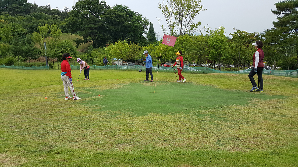  파크골프 스포츠 축전 2