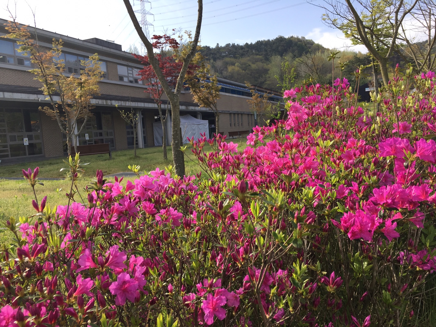  4월 21일 31사단 봉사활동 방문