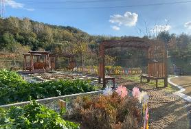  [효령도시정원]효령도시정원 바람개비 설치