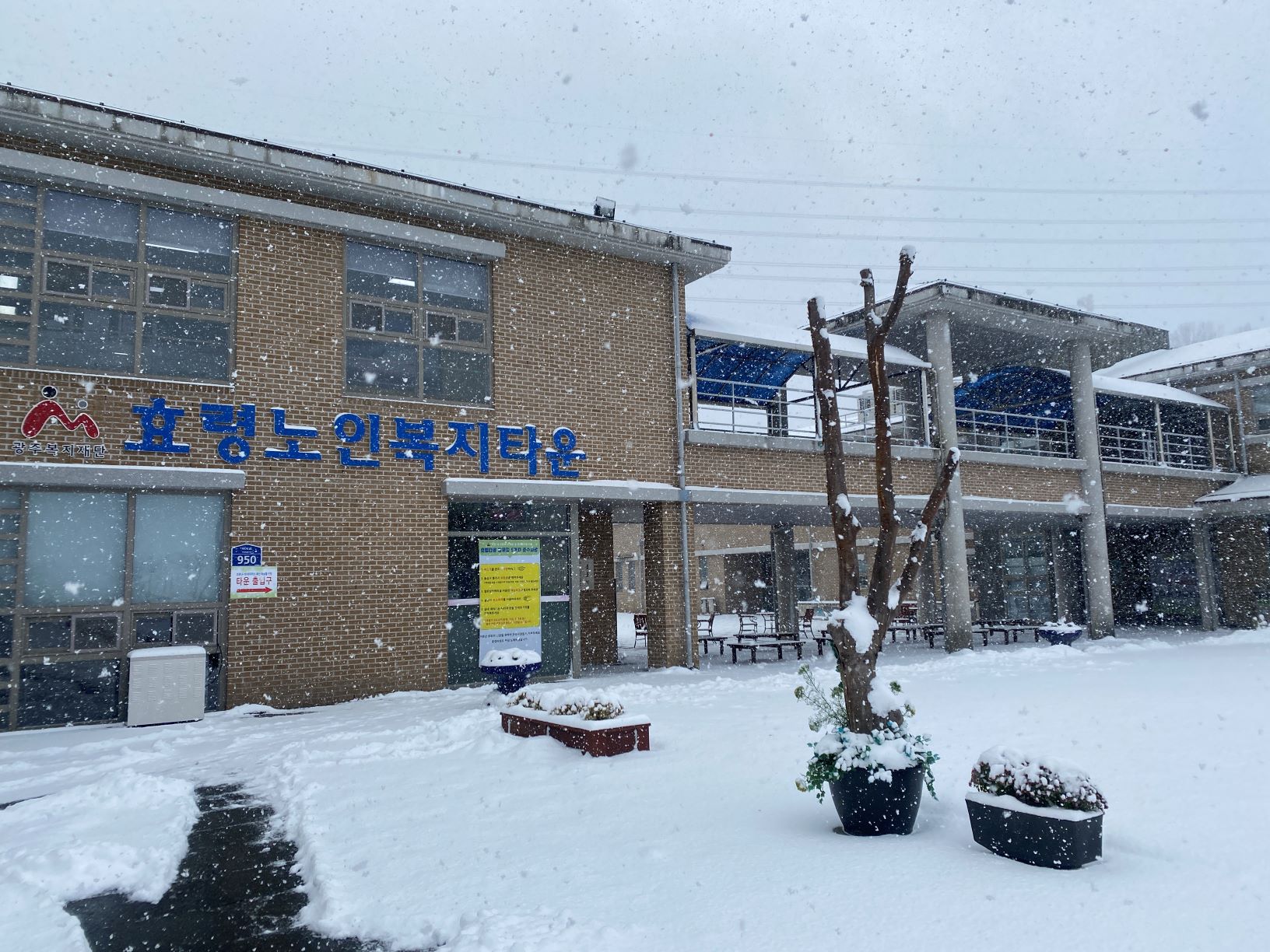  눈 내리는 효령타운