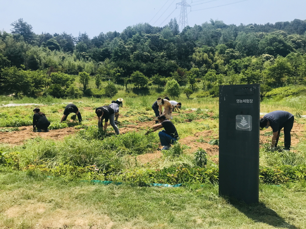  영농체험장 정리