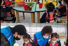  (체험:화훼, 전통놀이) 카리타스어린이집에서 놀러 왔어요.^^