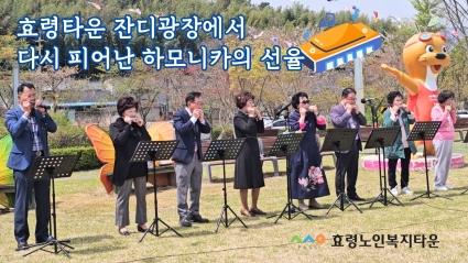  🌿 효령타운 하모니카반 야외광장에서 버스킹 공연