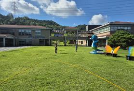  효령타운 잔디약제 살포용역 실시(3회차)