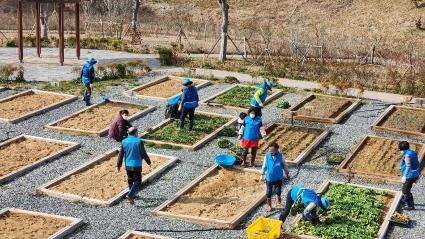  봄맞이 효령도시정원 텃밭 가꾸기~~