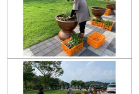  효령노인복지타운 화단 가을꽃 식재(메리골드등 4종 1,800본)