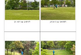  효령노인복지타운 잔디유지관리용역 중 잔디깍기 및 인력제초 1회차 실시