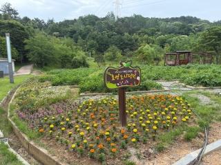  여름을 기다리며 효령도시정원에서는?