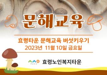  23년 11월 10일 문해교육 버섯키우기