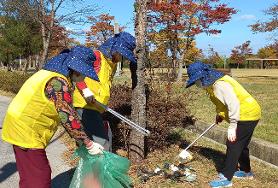  에코시니어 일자리사업단 환경정화활동