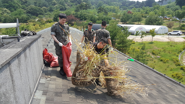  6월 육군 31사단 503보병여단 자원봉사활동 실시