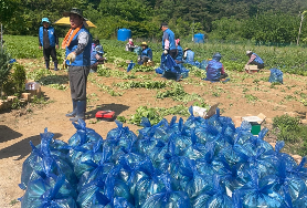  [노인맞춤돌봄] 제철채소 연계 지원