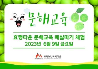  23년 6월 9일 문해교육 매실따기 체험
