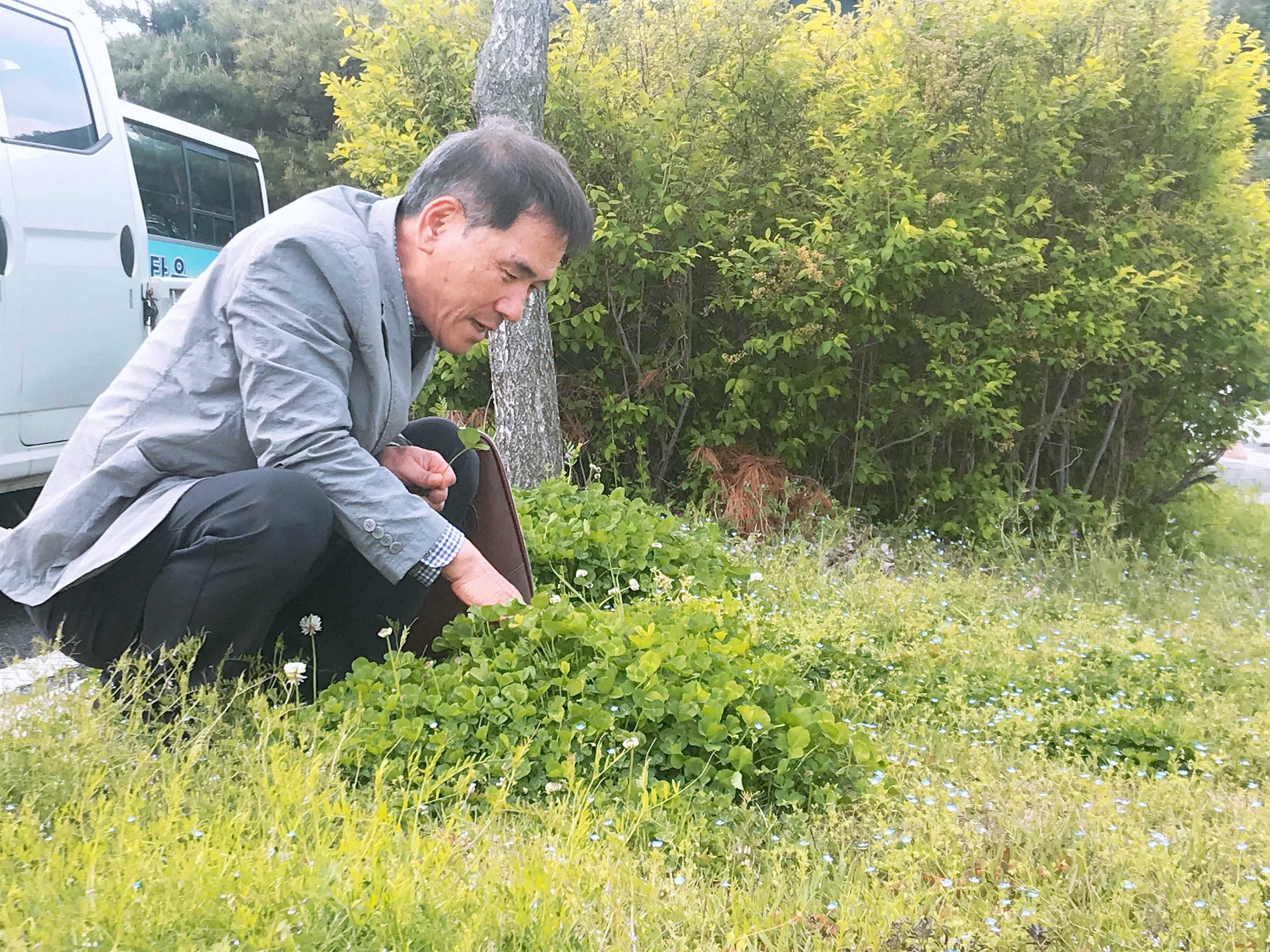  행운 가득 효령타운