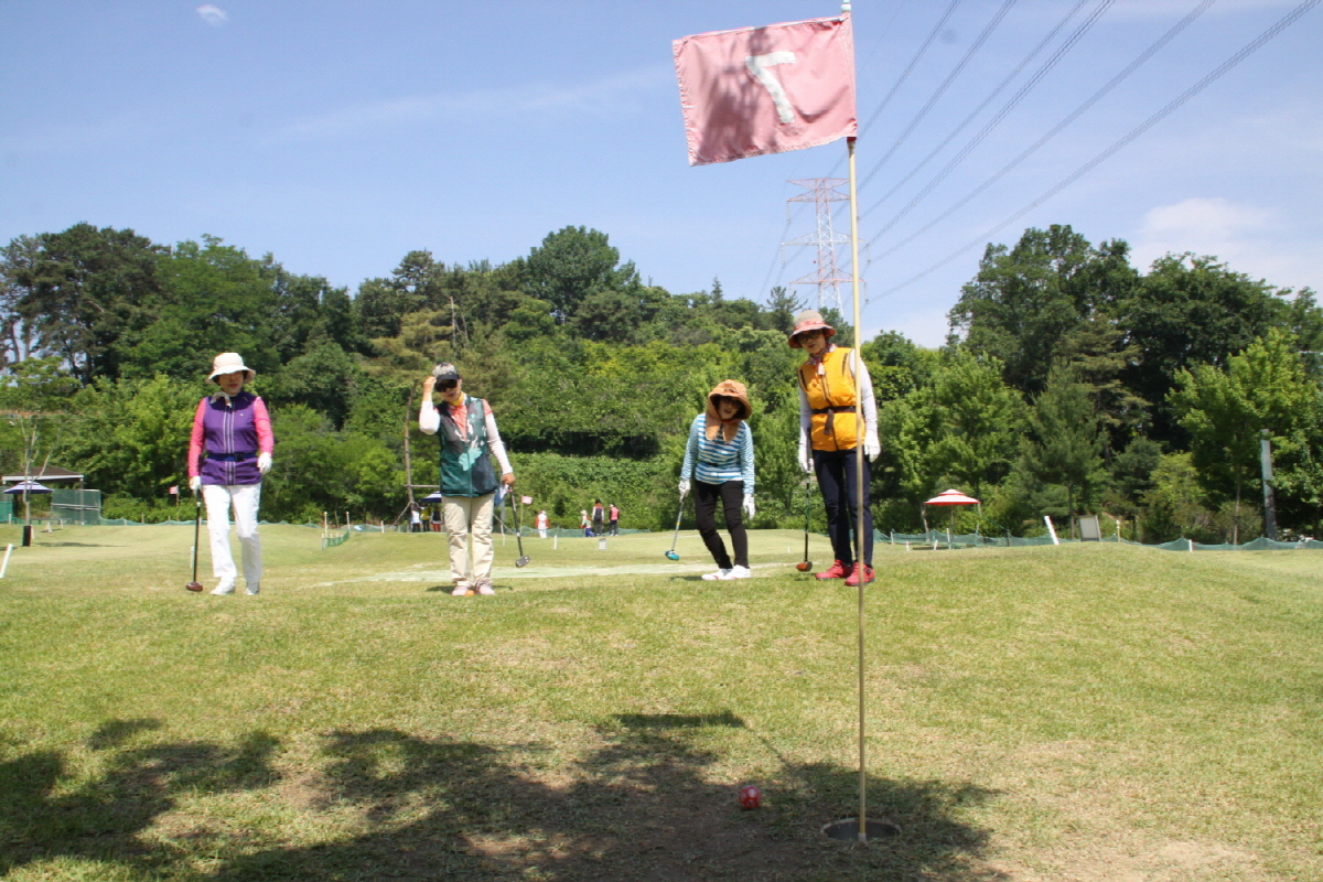  2019년 효령타운 스포츠 대항전