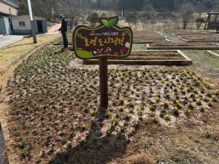  효령도시정원에 봄이 왔습니다