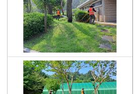  효령노인복지타운 잔디약제 살포 용역 실시