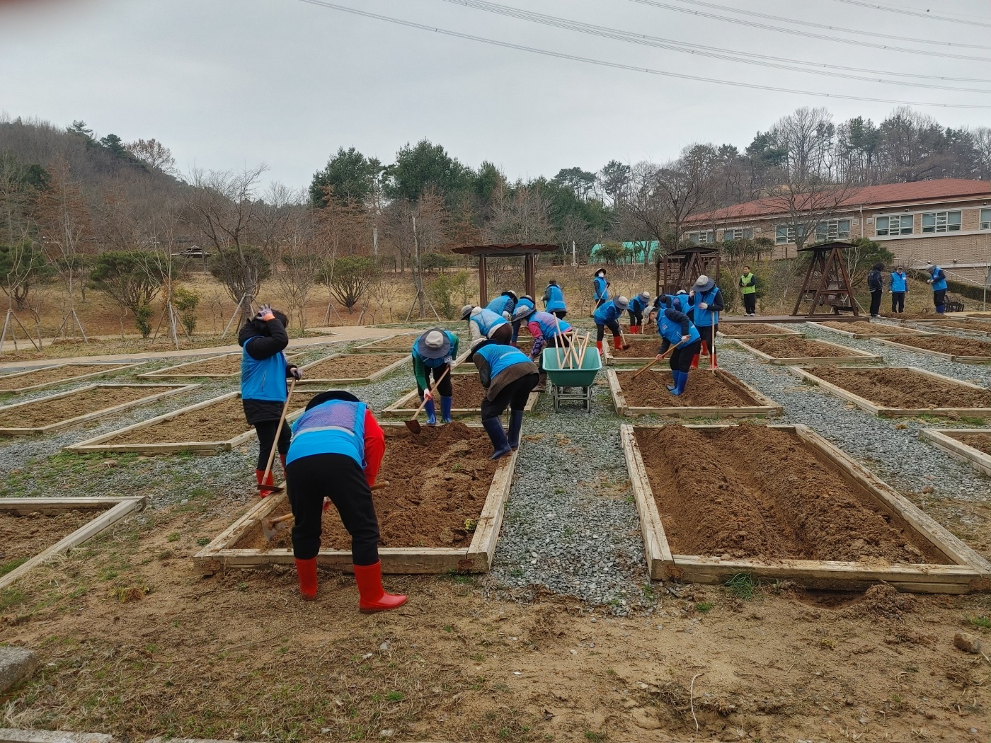 2026년 3월 효령도시정원 가꾸기2.jpg