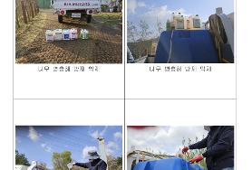  효령노인복지타운 조경수목(나무) 병충해 방제 용역 1회차 실시 - 살충제, 살균제 살포