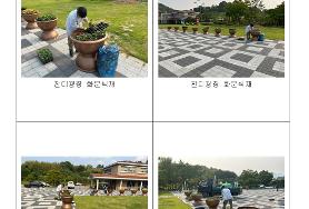  효령노인복지타운 화단 여름꽃 식재(메리골드등 5종 4,000본)